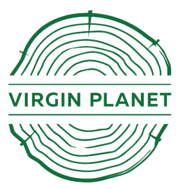 Virgin Planet logo
